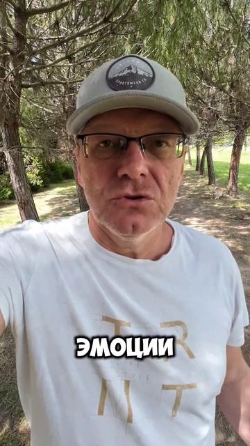 Сто такое жизнь