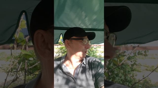 Строю дом своими руками