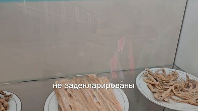 Изъятые вещи у пассажиров аэропорта Гонконг