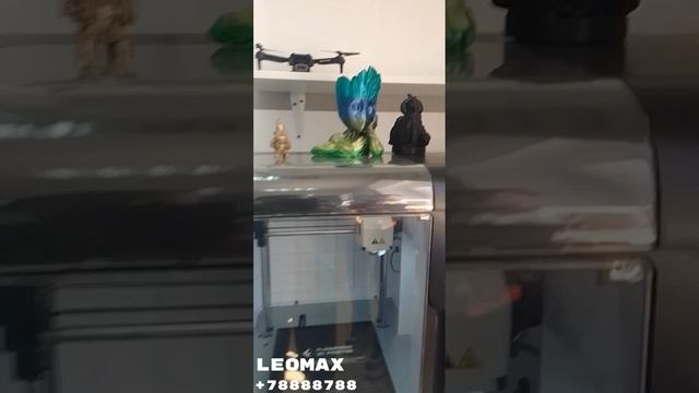 Пов; Leomax