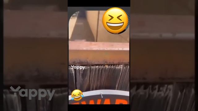 1000012407.mp4