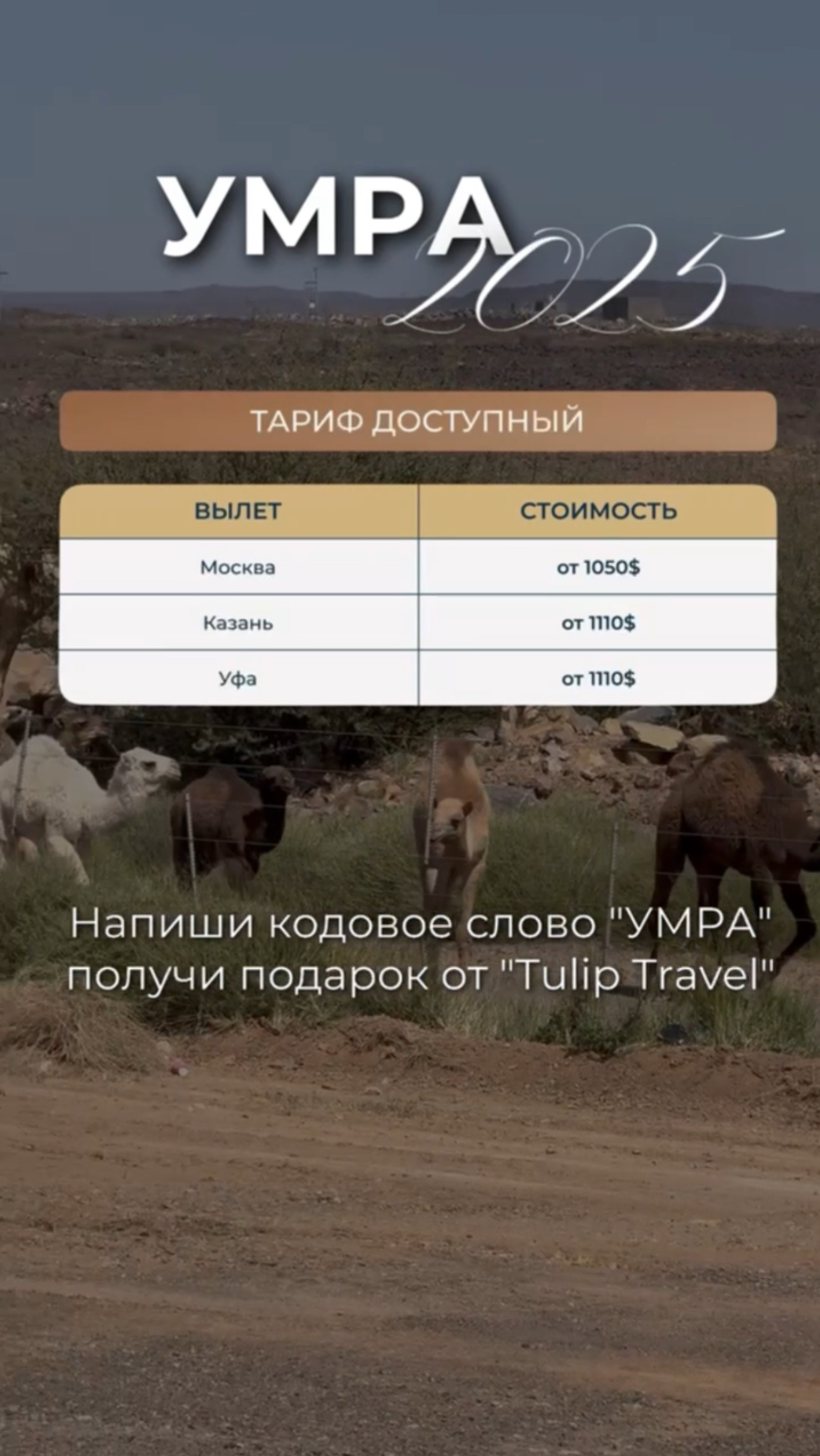 Скорое время Хаджа