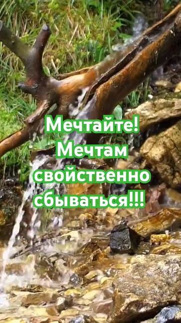 Мечтайте!