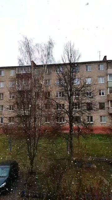 VID_20200405_110955