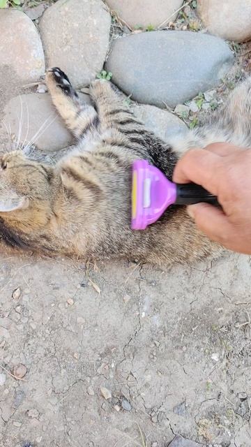 Мы с Гансом отметили мой День рождения.
