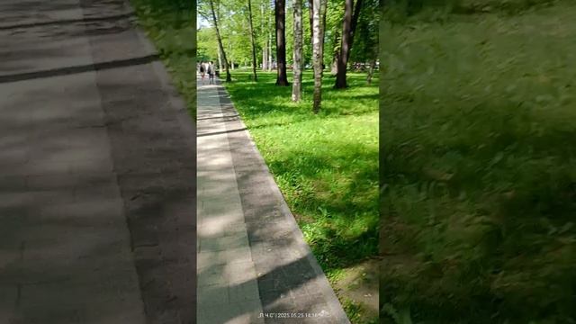 Москва парк ВДНХ прогулка на озеро с рыбками