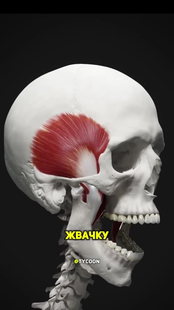 #интересно #наука #подмикроскопом #микромир #микроскоп