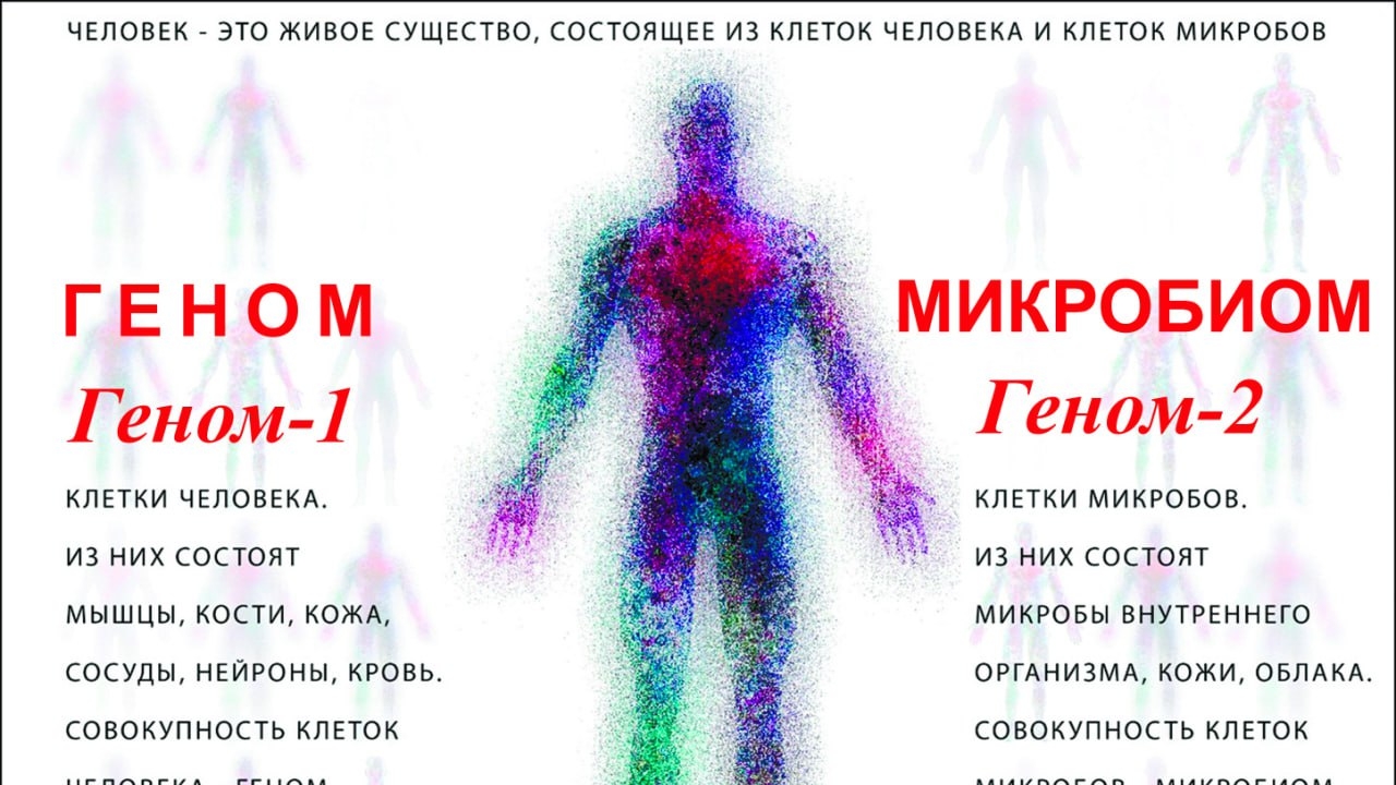 ВЛАДИМИР КОЛЧИН. РХТУ-2-3 Доклад. Часть 2 и Часть 3.