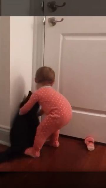 Котик помог ребенку 🤩🐈👶