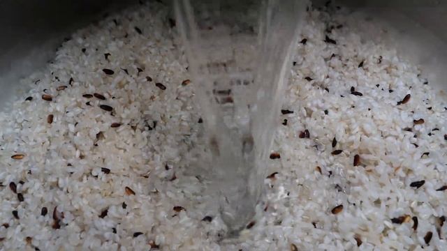 массовое производство ланч-боксов в Корее
