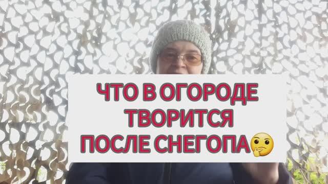 Что в огороде творится после снегопада