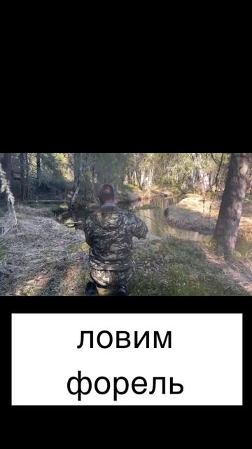 ловим форель в карельской речке