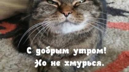Доброе утро!Не хмурься,печаль отпусти!