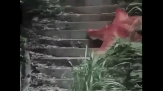 +100500 - Безудержное Веселье