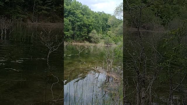 Озеро Верхнее Вода тёплая