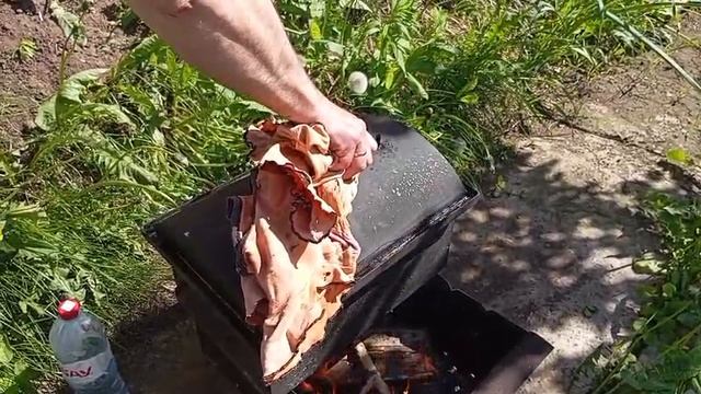 коптим рыбку, Судак