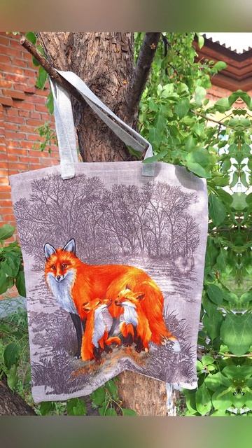 Чудесные лисы! 🦊