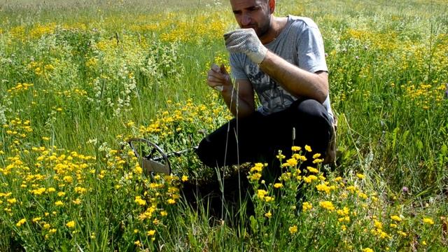В Поисках истории+УДАЧНЫЙ КОП в июньскую жару
