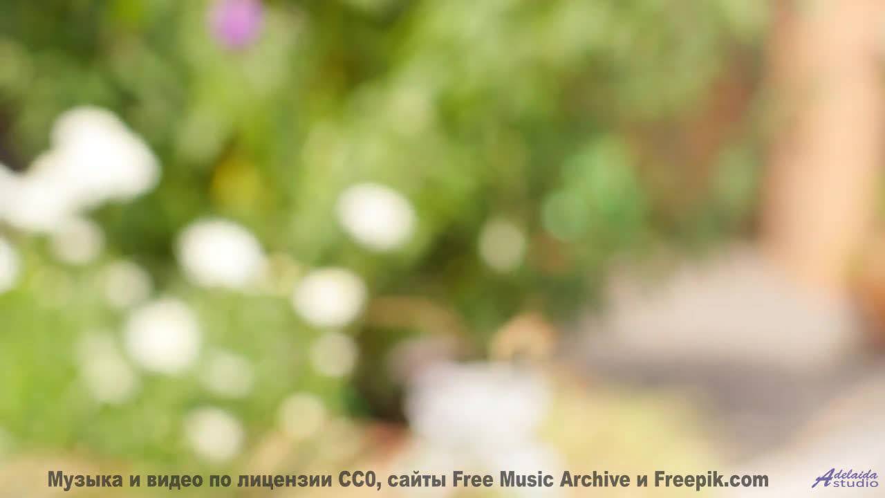 Почему ученые боятся этой комбинации звуков и образов - Carefree Morning -- Scott Holmes Music -- In