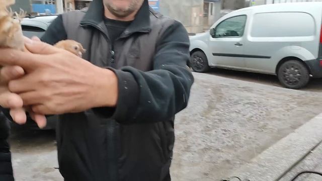 2.03.2025 ст. Бронницы ч. 2