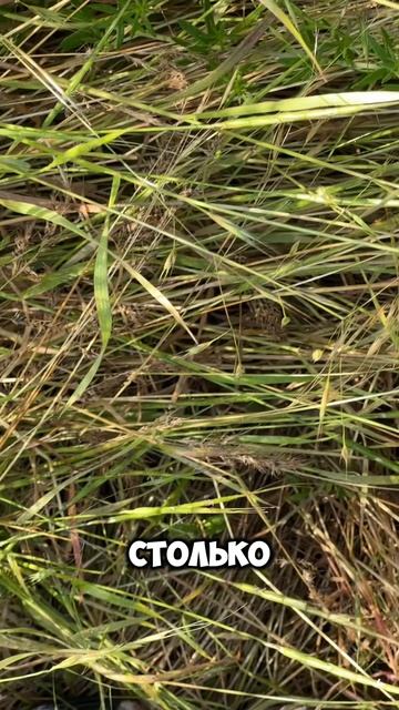 Всё вокруг тебя