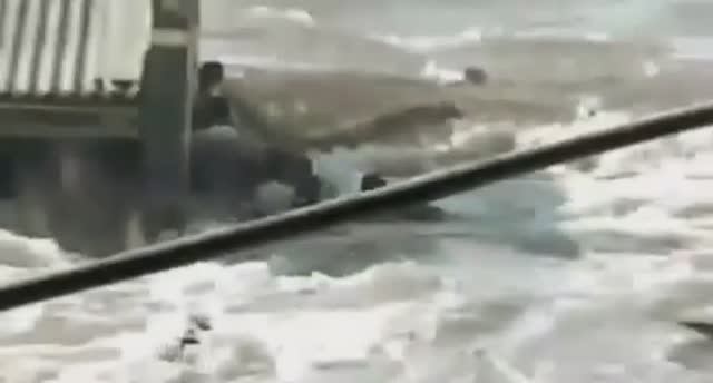 ... Как животные предчувствуют Катаклизмы...