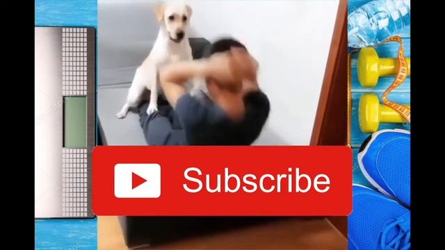 Приколы с Котами 2019  Собаками 2019  Cute Mix animals Compilation #14 lol Фитнес Fitness