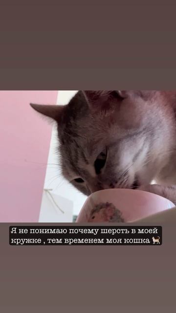 VID_20250404_193844_727.mp4