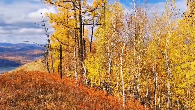 План на сезон выполнен: Восхождение с Мелкой на 3ю гору
