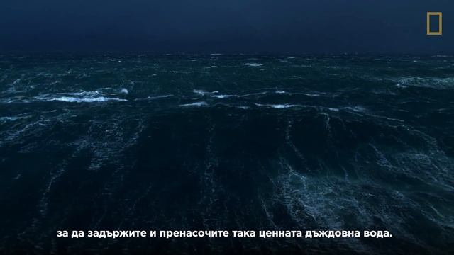 National geographic - Враждебната планета - промо - Неделя