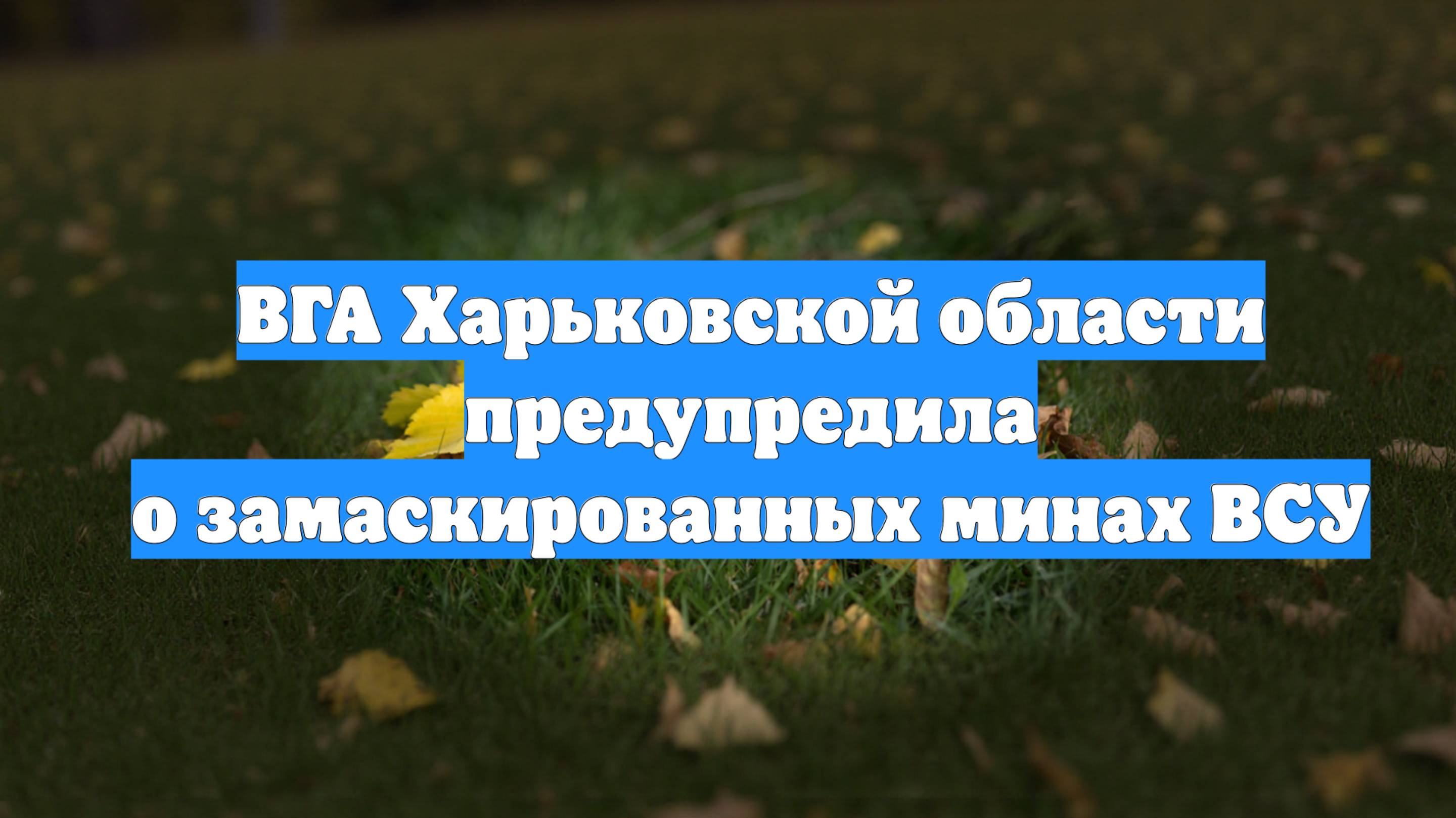 ВГА Харьковской области предупредила о замаскированных минах ВСУ