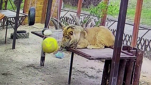 А игрушка хороша