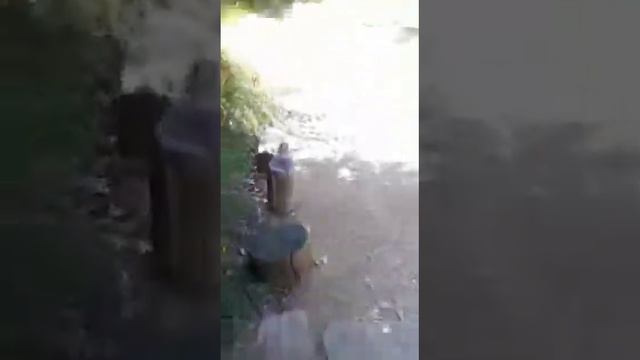 Старец Паисий святогорец Афон его калива келия