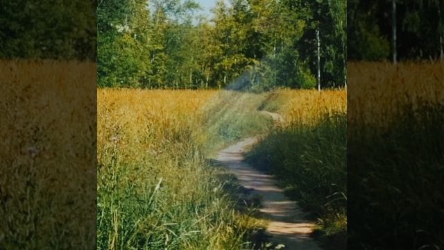 Пою Заплутало счастье заплутало Автор стихи Мэри Сказ Музыка 👏👏👏