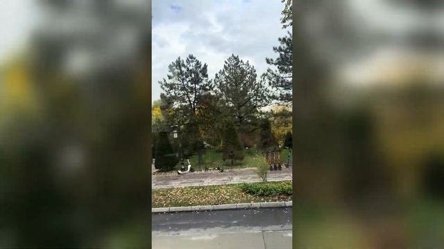 Экскурсия по городу Ташкентtravel tashkent safiya