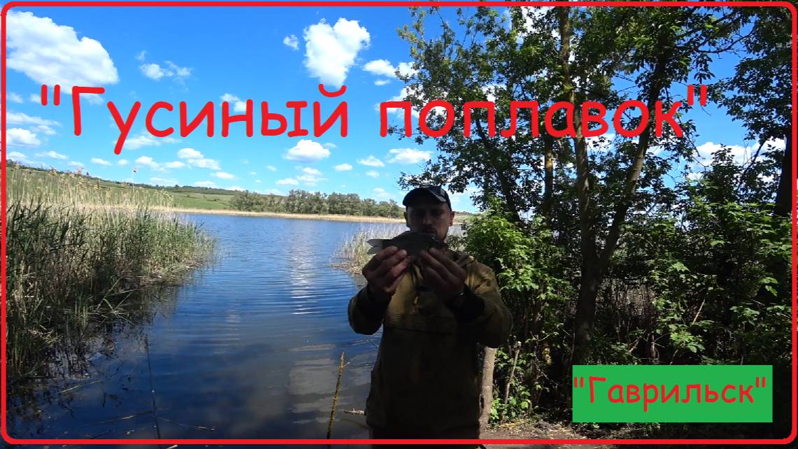 "Гусиный поплавок". Карась на удочку.