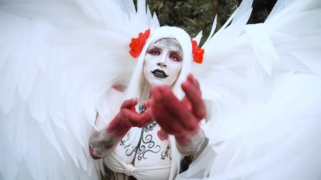 19129553-hd_1920_1080_30fps
