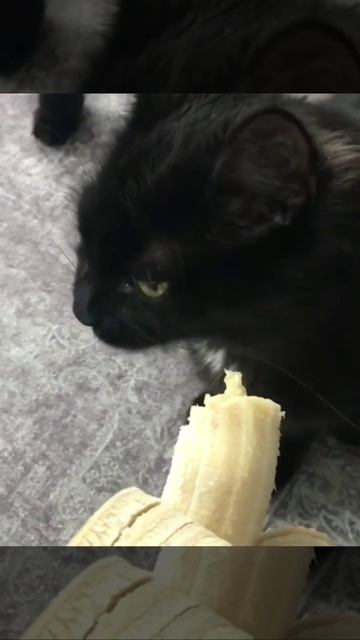 что это