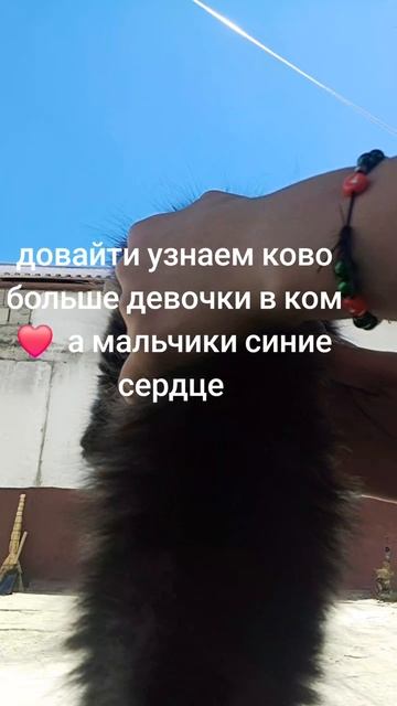 1000824774.mp4