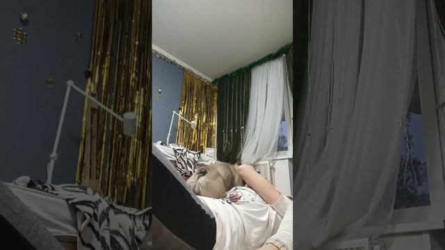 Спорт