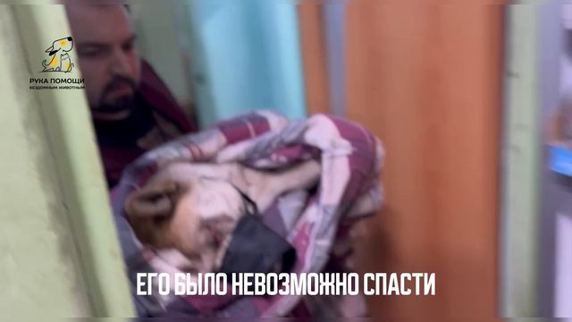 Жюли обнаружили на улице с ужасной травмой. Поддержать⬇️