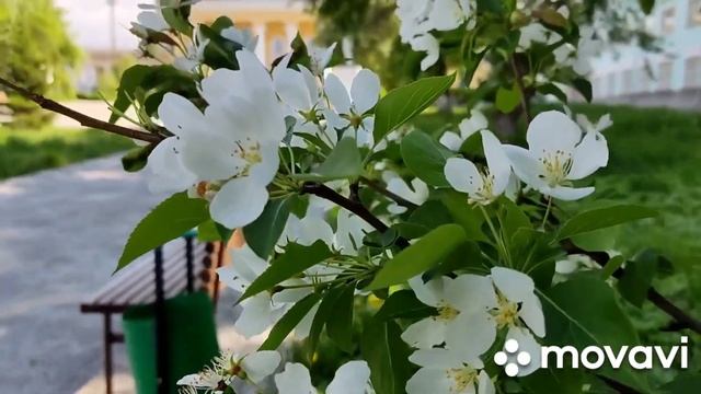 Пермский край, г.Лысьва/Стадион/бывший ДК ЛМЗ/Центр (8 и