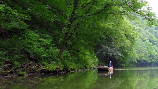 Japan in 8K ULTRA HD - Land of The Rising Sun (60 FPS)