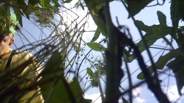 Ручная прополка - вид с грядки