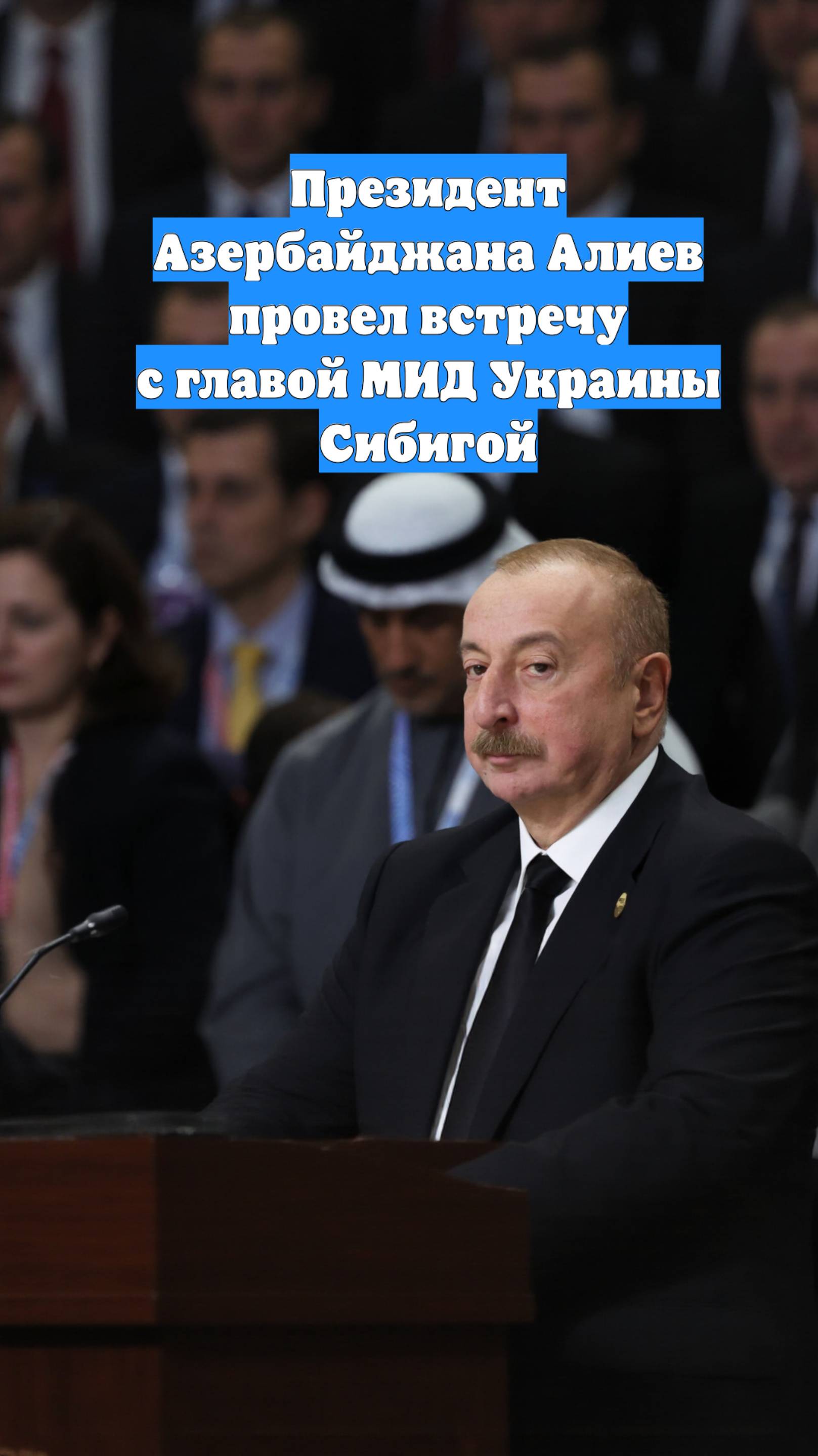 Президент Азербайджана Алиев провел встречу с главой МИД Украины Сибигой