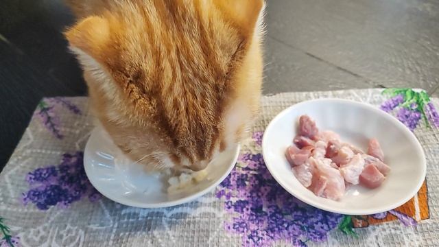Каша или мясо🍗? 😋