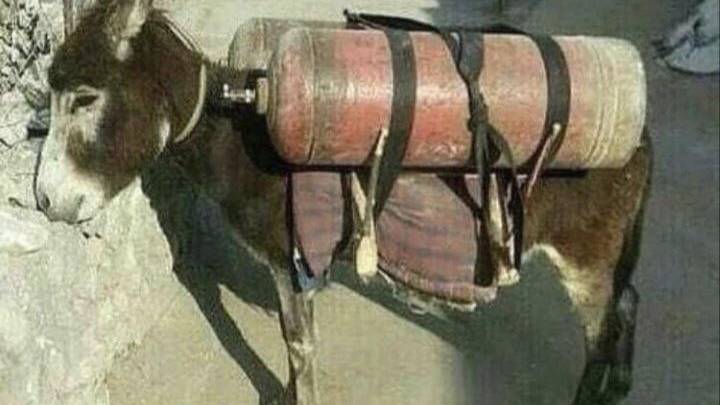 Для вступление в фамку