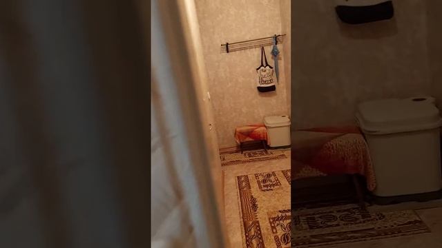 Наем 300 лв. Южна квартира в кв. Бузлуджа, Велико Търново