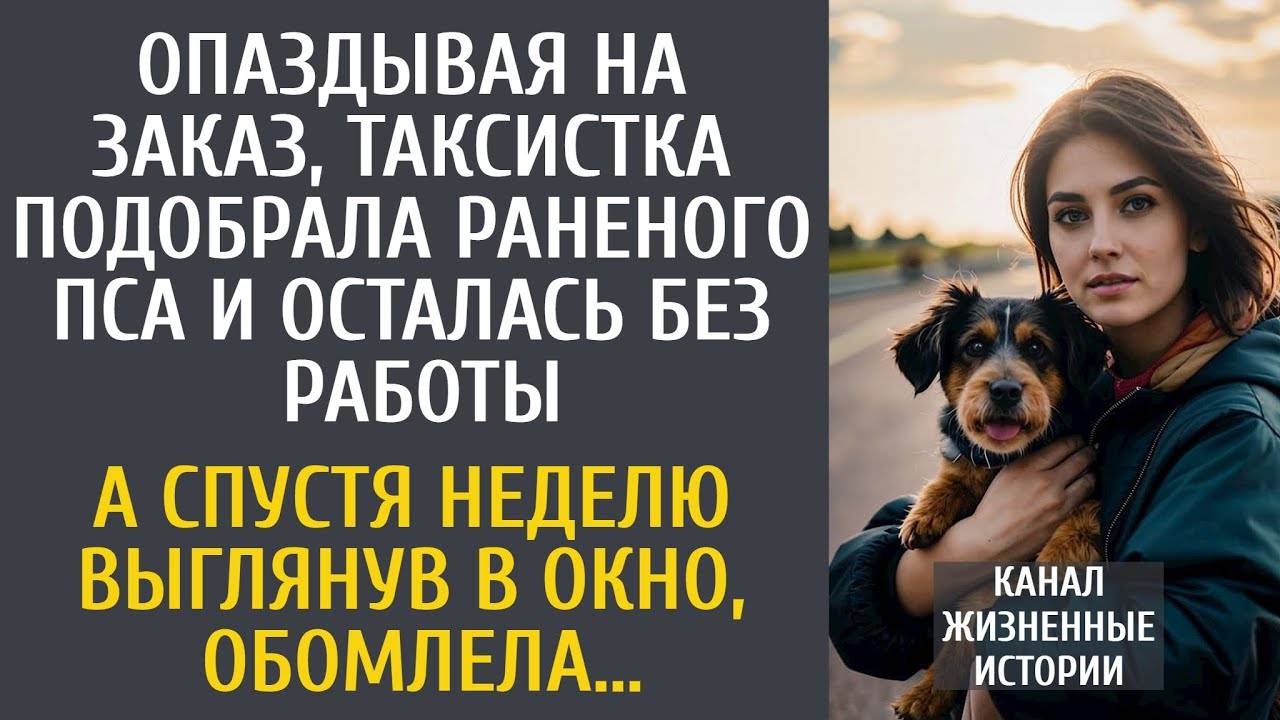 Опаздывая, таксистка спасла пса и осталась без работы… А через неделю выглянув в окно, обомлела…