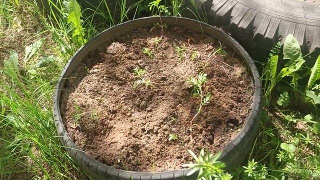 25-05-2025💥Влог💥воскресенье
